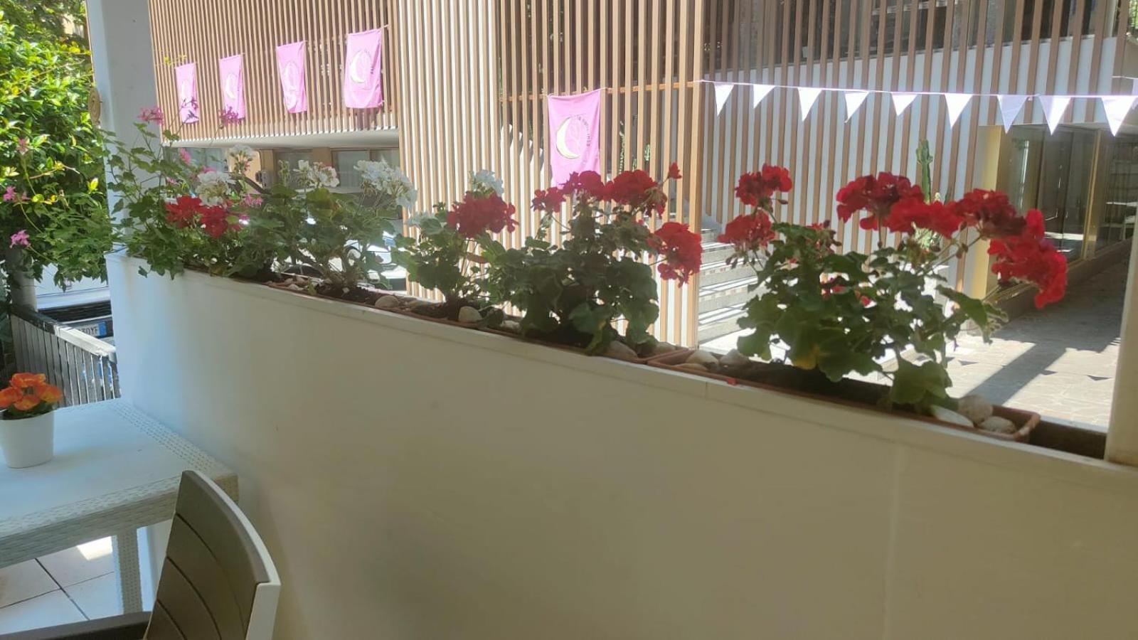 רימיני Hotel Eriale מראה חיצוני תמונה