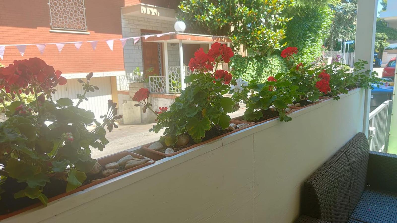רימיני Hotel Eriale מראה חיצוני תמונה