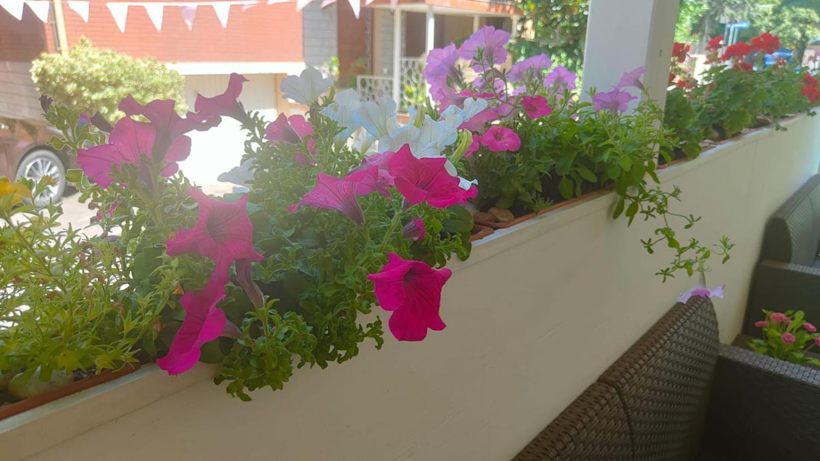 רימיני Hotel Eriale מראה חיצוני תמונה