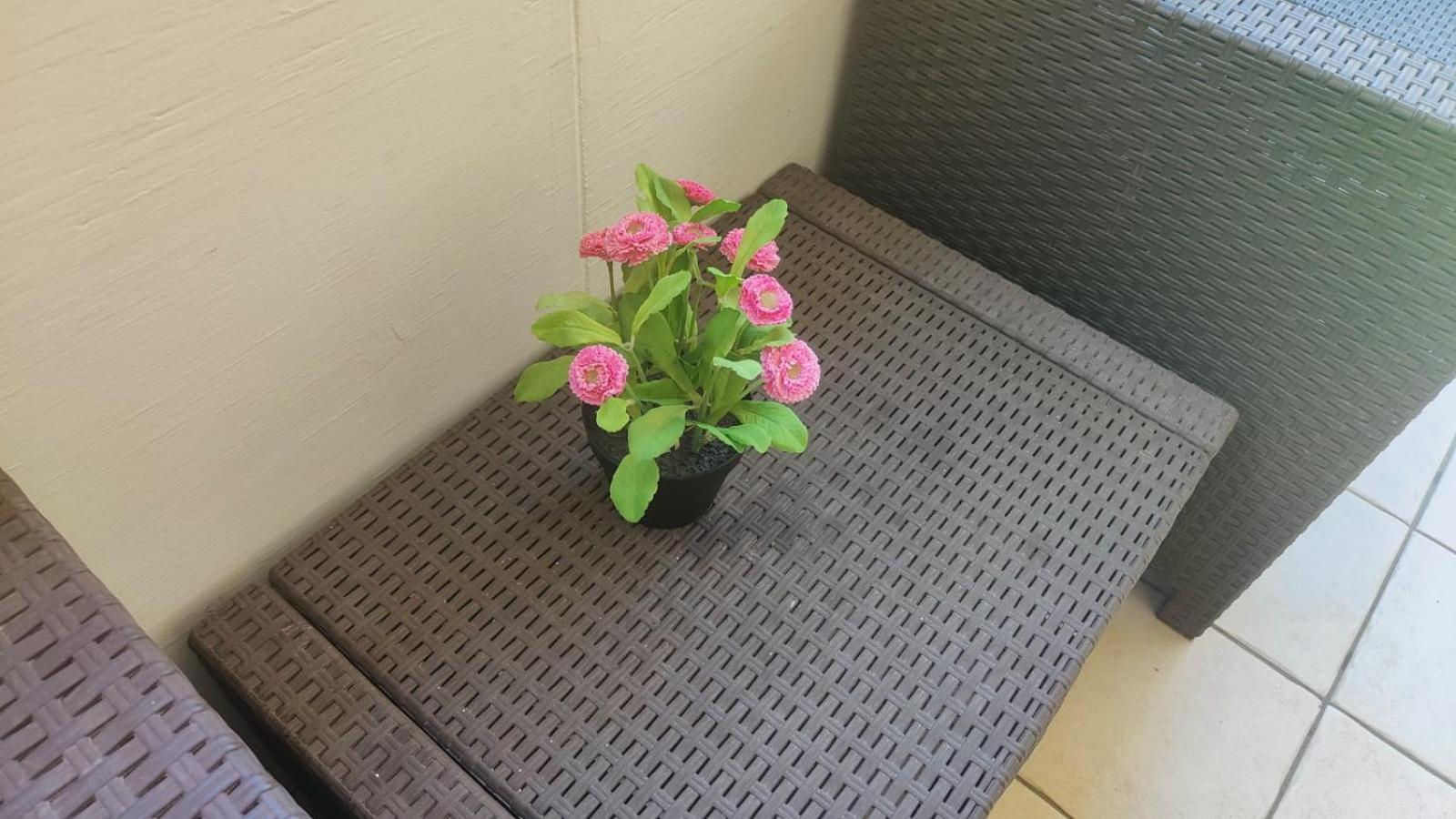 רימיני Hotel Eriale מראה חיצוני תמונה